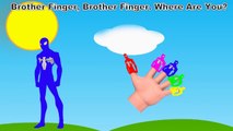 Spiderman Balloons Finger Family Song Learn Colors with Spider-man. Nursery Rhymes for tod