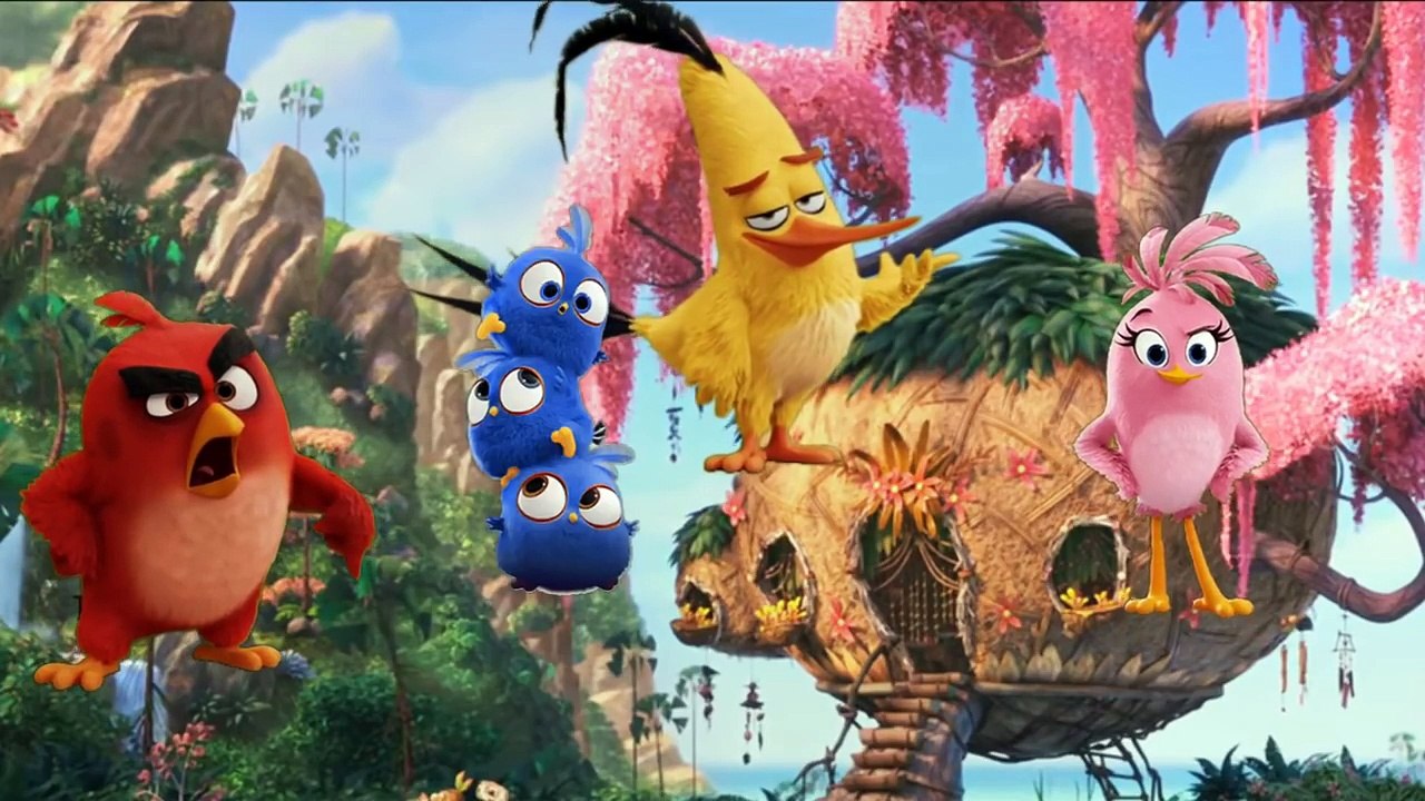 Angry Birds Movie 2016 New Finger Family For Kids
