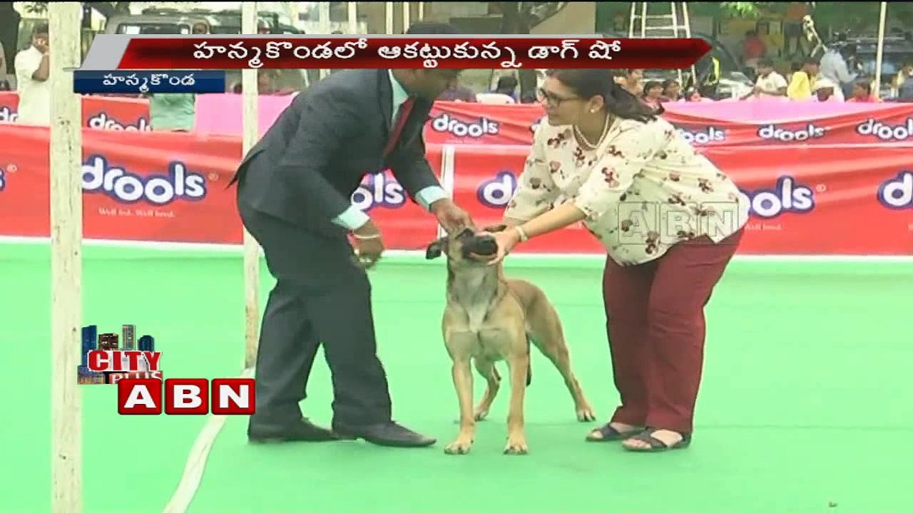 Dog Show in Warangal
