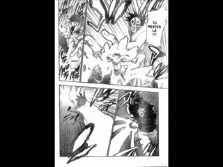 Bleach 142 en scan FR