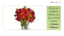 The Leading Florists in London Ontario|Watch Now
