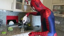 Spiderman vs Venom En la Vida Real | el Veneno de Nacimiento del | de la Película de Superhéroes