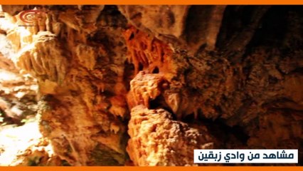 وادي زبقين.. آخر المواقع الحرجية جنوب لبنان في خطر!