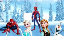 Spiderman & Frozen Elsa Lollipop Finger Family Songs - Daddy Finger Family Nursery Rhymes Lyrics