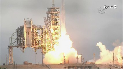 SpaceX to send the first tourists around the moon next year