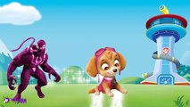 Paw Patrol Transforms Into Venom - Paw Patrol Finger Family Nursery Rhymes