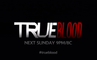 True Blood - Promo 4x11