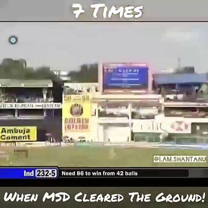 Funny clips