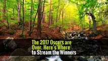 The 2017 Oscars are Over. Here’s Where to Stream the Winners