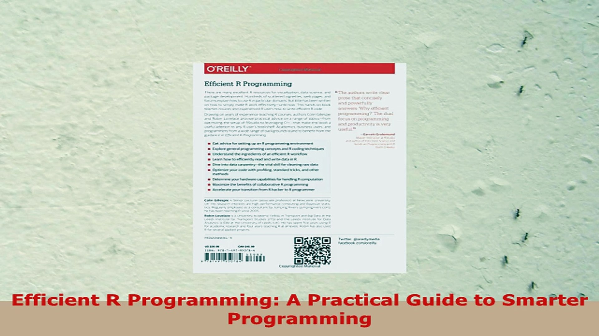 ⁣READ ONLINE  Efficient R Programming A Practical Guide to Smarter Programming