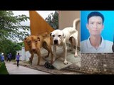 Tin mới nhất - Vụ án 4 bà cháu ở Quảng Ninh 2 con chó và sự trùng hợp bất ngờ