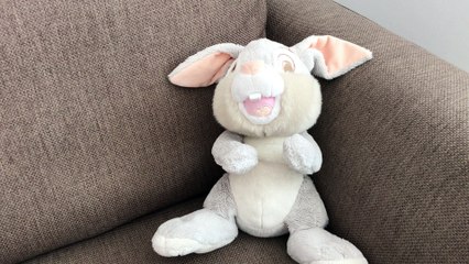 Fluffy Rabbit and some other fluffy thing