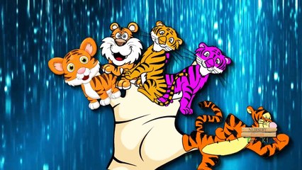 Download Video: Los tigres del Dedo de la Familia | Con los dibujos animados y Animales Reales | canciones infantiles para los niños