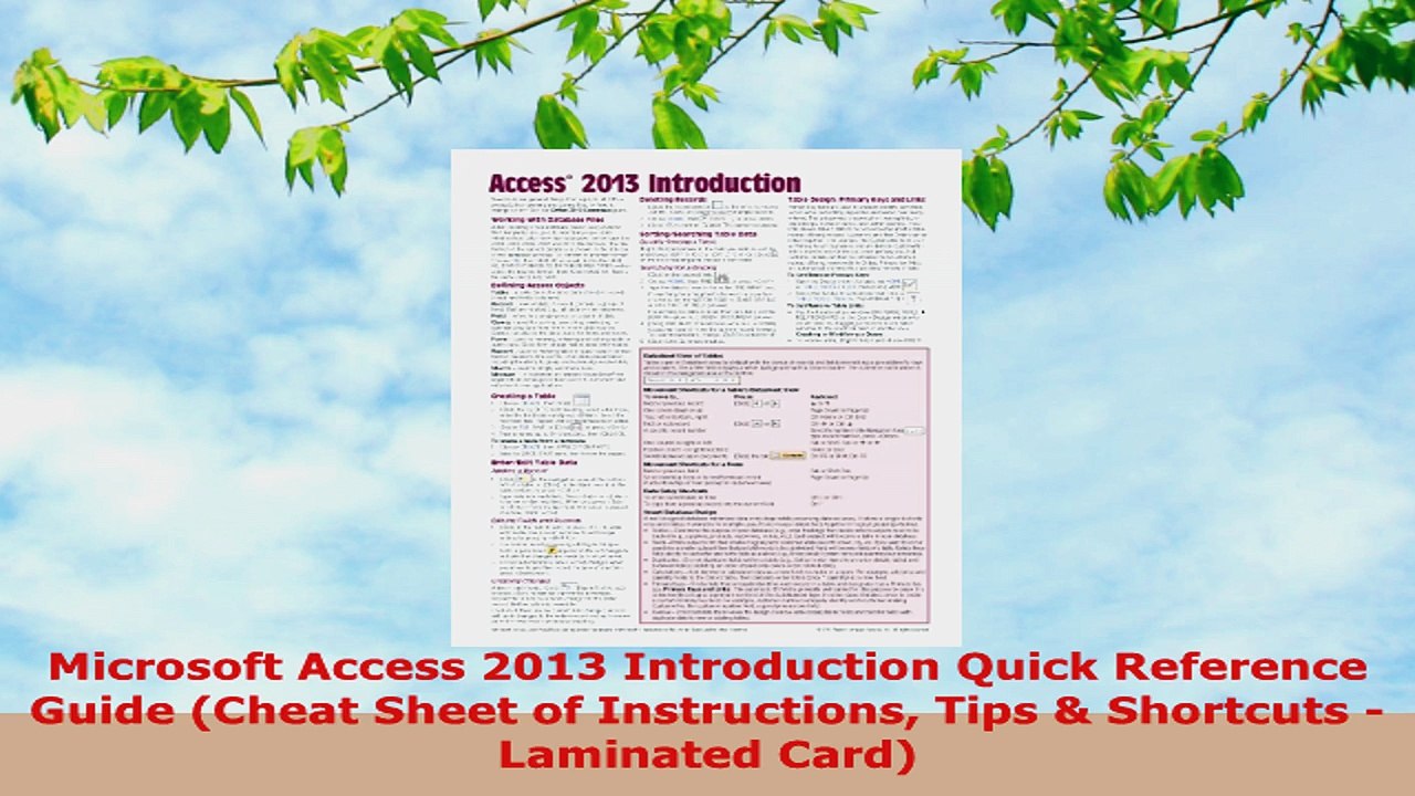 READ ONLINE  Microsoft Access 2013 Introduction Quick Reference Guide Cheat Sheet of Instructions Tips