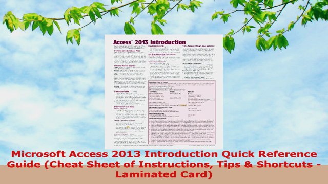 READ ONLINE Microsoft Access 2013 Introduction Quick Reference Guide Cheat Sheet of Instructions Tips