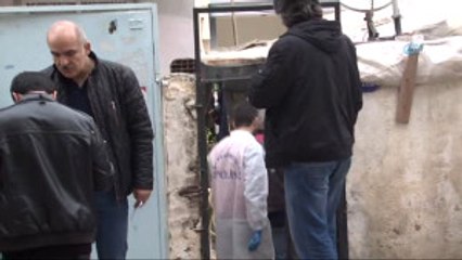 Uyuduğu Esnada Başından Vurularak Öldürüldü