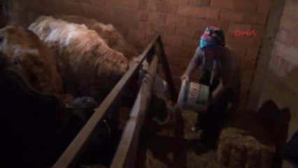 Kütahya Hibe Düveler Hayatını Değiştirdi