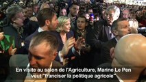Marine Le Pen veut 