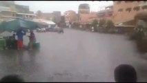 صادم حصان هائج يهاجم الباعة في ساحة الفنا بمراكش