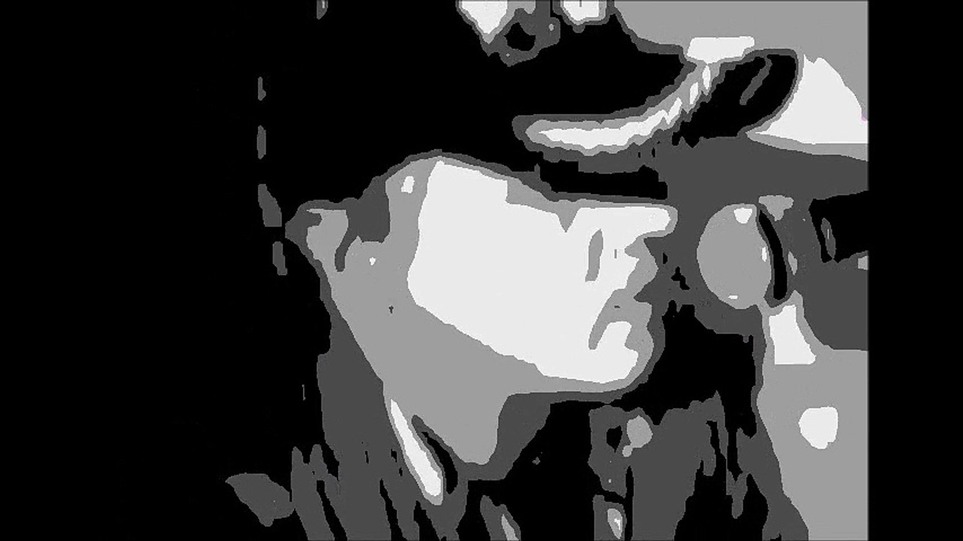 Mana filma 04021 posterize (online-video-cutter.com)