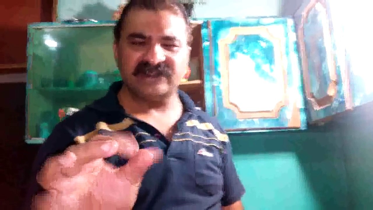 Chicken Mayo Cake Sandwich Easy Recipe