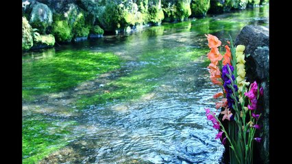 マーラー　交響曲第5番 嬰ハ短調 第4楽章 -アダージェット-