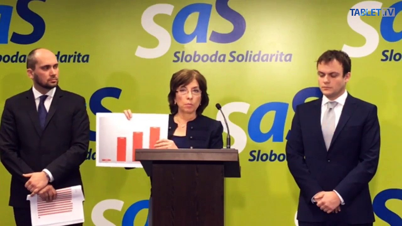 ZÁZNAM:  TK strany Sloboda a Solidarita
