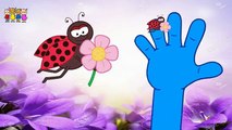 Baby Rhymes   TomaWatermelon-Gorilla Finger Family Cartoons   Family Rhymes