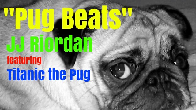 Il fait de la techno grâce aux sons produits par un chien