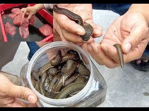 Nhiều người dân Việt Nam khóc lóc vì bị gian thương Trung Quốc lừa nhiều lần [Tin mới nhất]