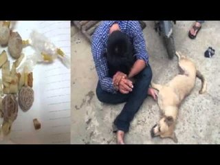 Tiểu sử Tuấn Chó thành trùm giang hồ bình dương