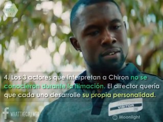 14 Razones por las que Moonlight ganó el Oscar a Mejor Película a La La Land