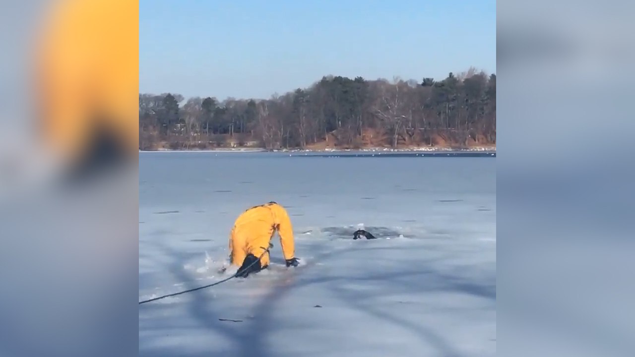 Firefighters Rescue Dog Trapped In Icy Pond
