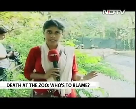 White tiger kills man who fell into its enclosure at Delhi zoo