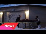 Tin mới nhất - Một người gốc Việt sát hại 8 người ở Canada
