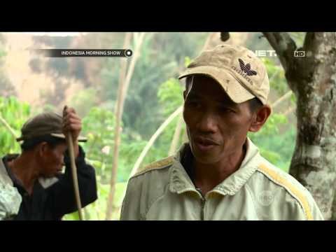 Berburu Tikus Hutan, Atraksi Wisata Bagi Para Pelancong - IMS