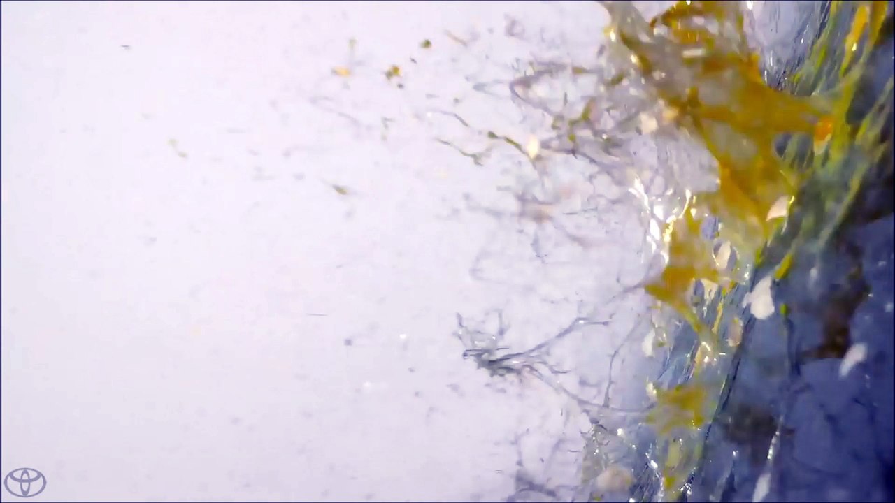 Toyota Service Shop Scottsdale, AZ | Toyota Service Department Scottsdale AZ