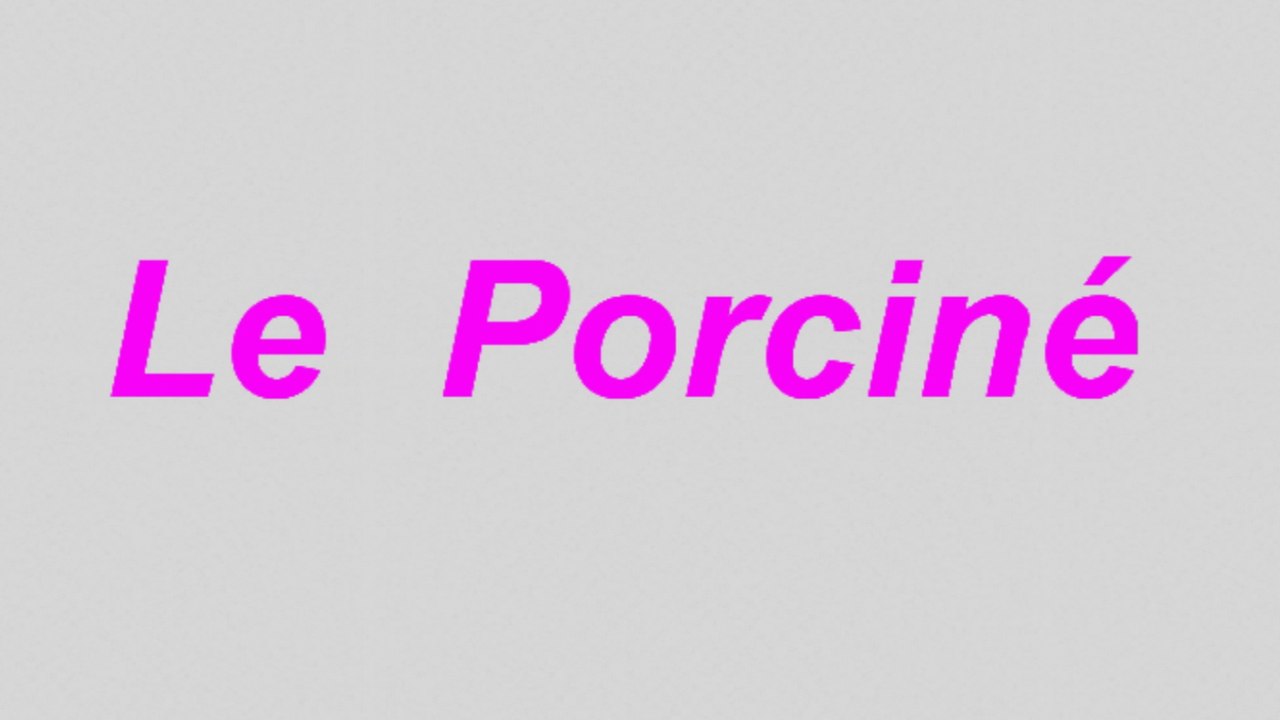 Le Porciné