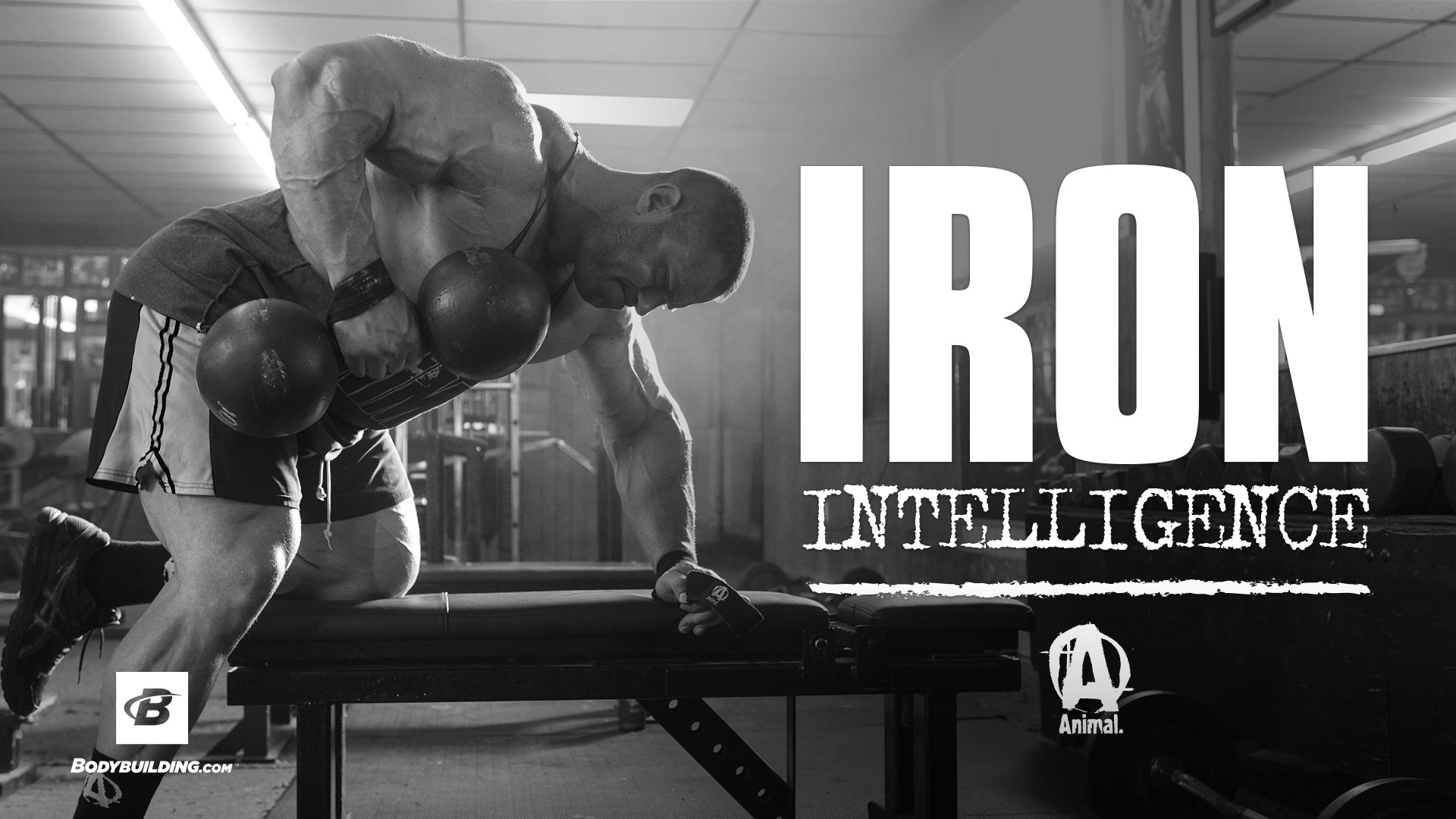 Iron Intelligence | Evan Centopani's Muscle-Building Plan - video  Dailymotion