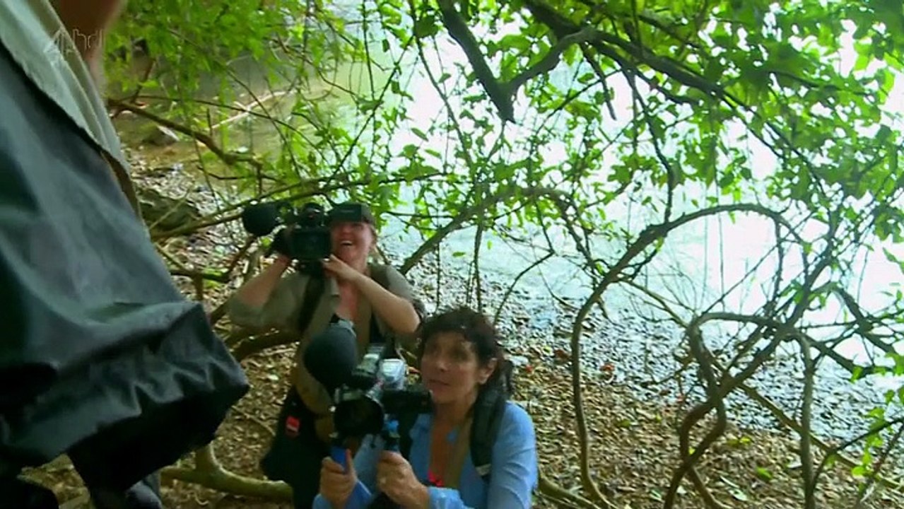 The island with Bear Grylls S02E02