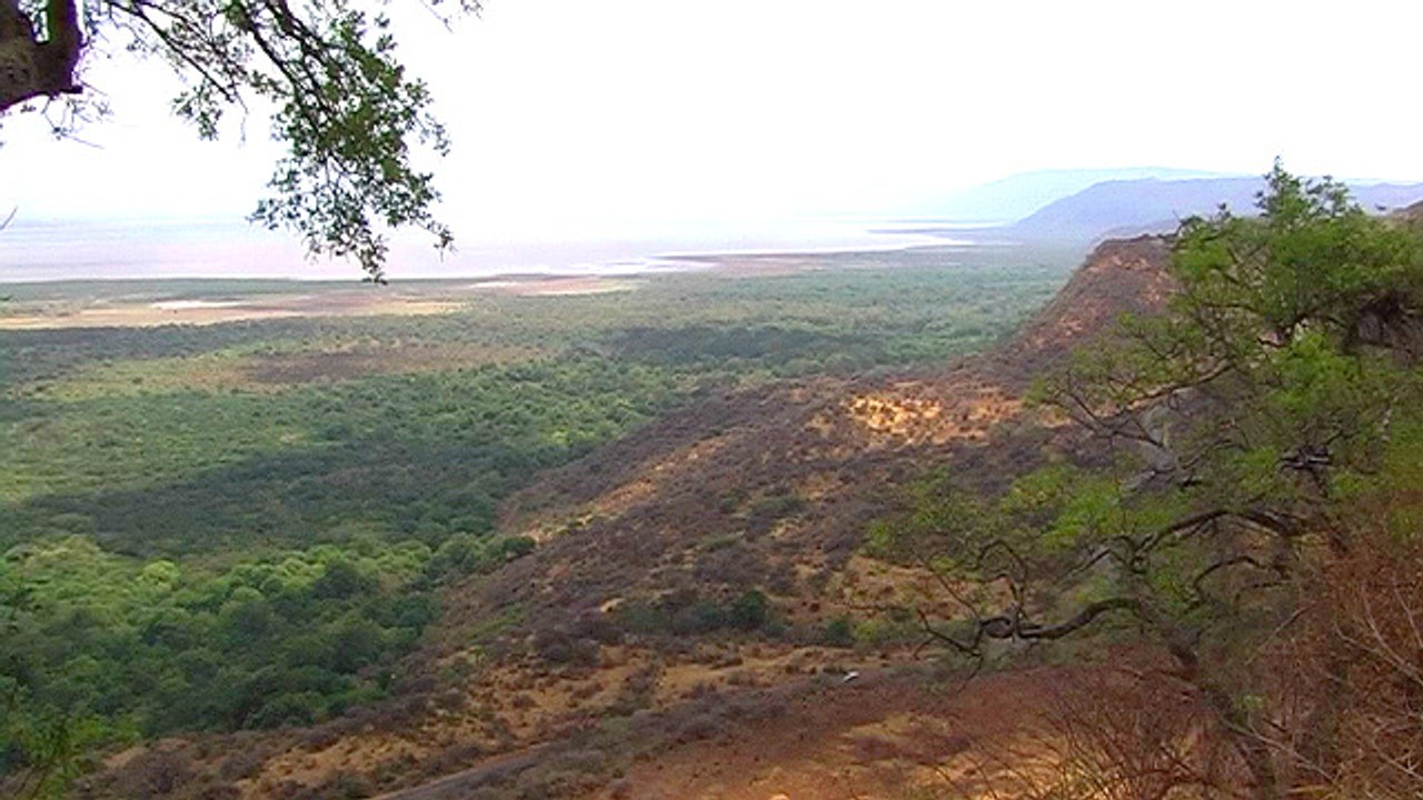 dag 4: Tarangire - Lake Manyara 15/11/16