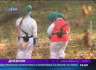 Dnevnik, 28. februar 2017. (RTV Bor)