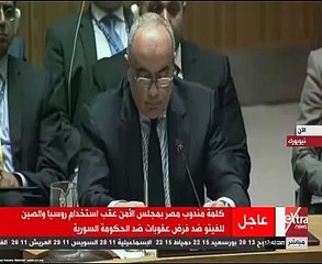 مندوب مصر بمجلس الأمن: قرار الكيماوى السورى منقوص الأدلة وخطوة استباقية للجنة التحقيق المشتركة
