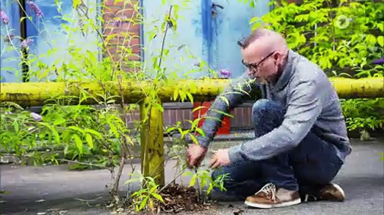 Wie Pflanzen der winterlichen Kälte trotzen | Wissen vor Acht: Natur | Das Erste