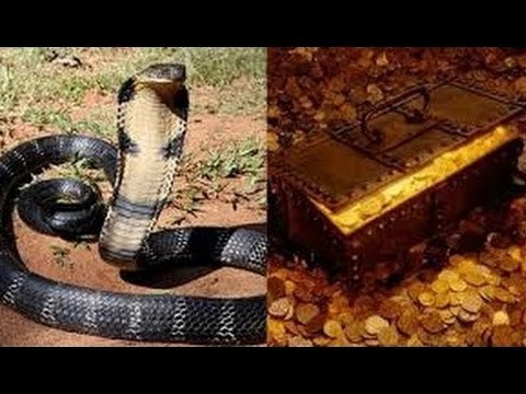 Chuyện lạ Việt Nam- Chuyện về bầy rắn trong kho giữ tiền.