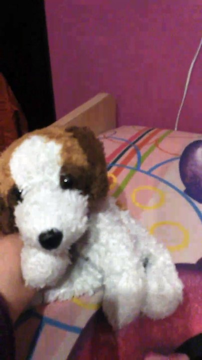 Un Perro Procrea