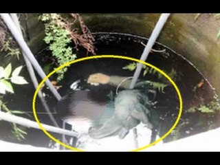 Chuyện lạ Việt Nam- Vì ghen tuông gã chồng rạch bụng vợ vứt xác xuống giếng!