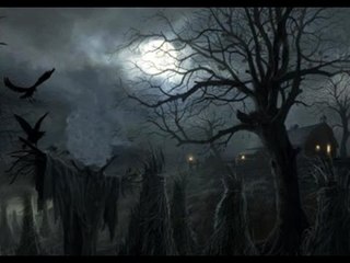 Bí ẩn rợn người trong khu rừng nghìn người t.ự s.á.t ở Nhật Bản?