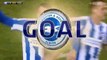 Glenn Murray Goal - Brighton	1-0	Newcastle Utd 28.02.2017