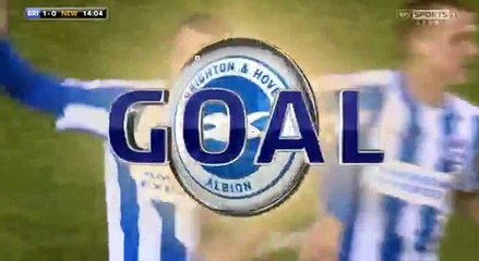 Glenn Murray Goal - Brighton	1-0	Newcastle Utd 28.02.2017